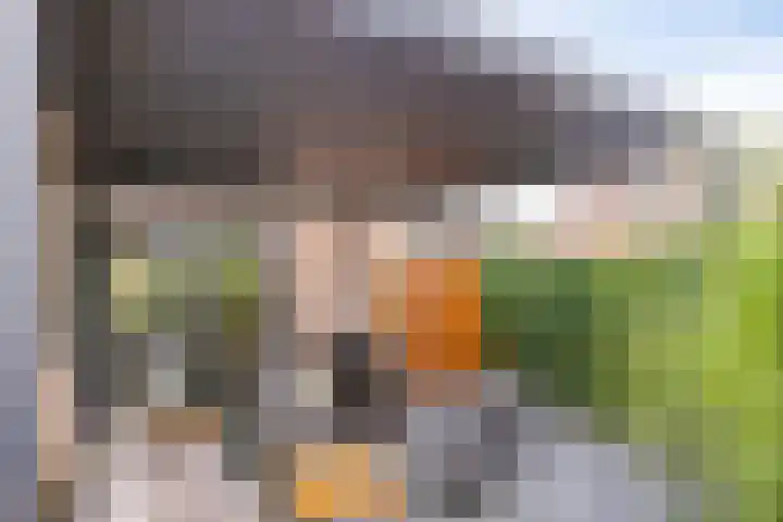 Oude Barneveldseweg 39 Scherpenzeel thumbnail 29
