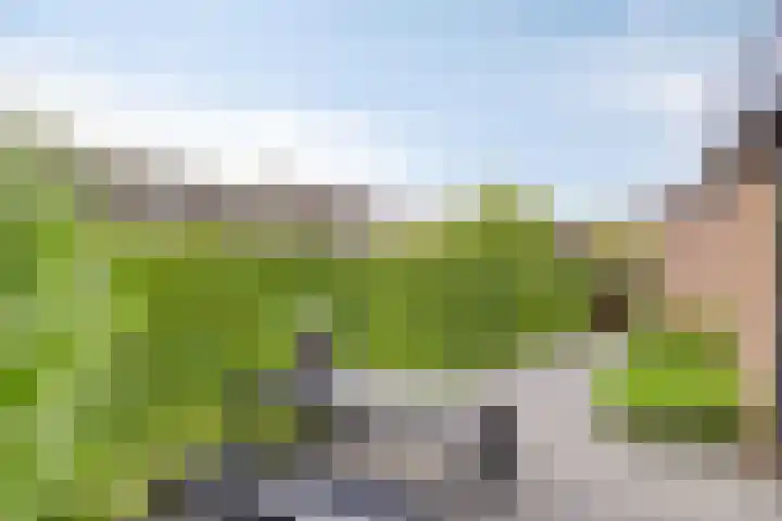 Oude Barneveldseweg 39 Scherpenzeel thumbnail 30
