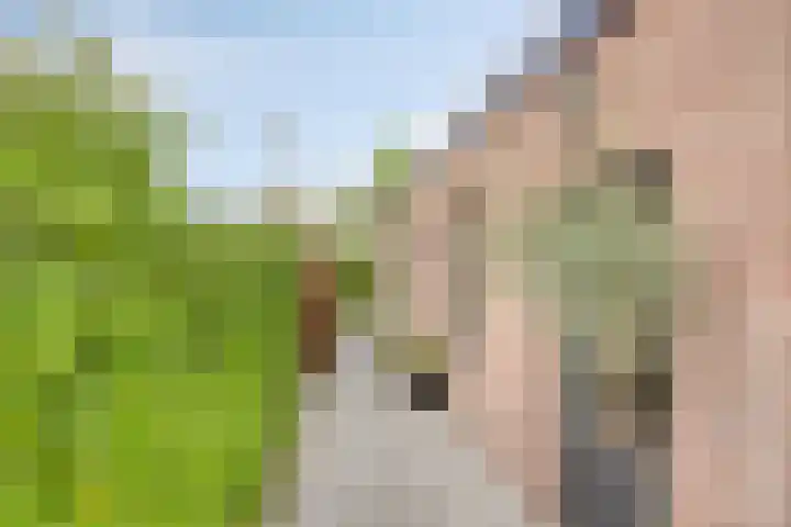 Oude Barneveldseweg 39 Scherpenzeel thumbnail 32