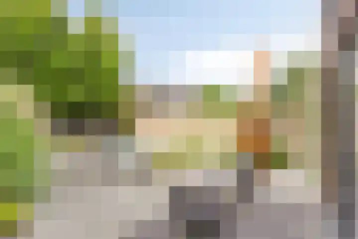 Oude Barneveldseweg 39 Scherpenzeel thumbnail 33