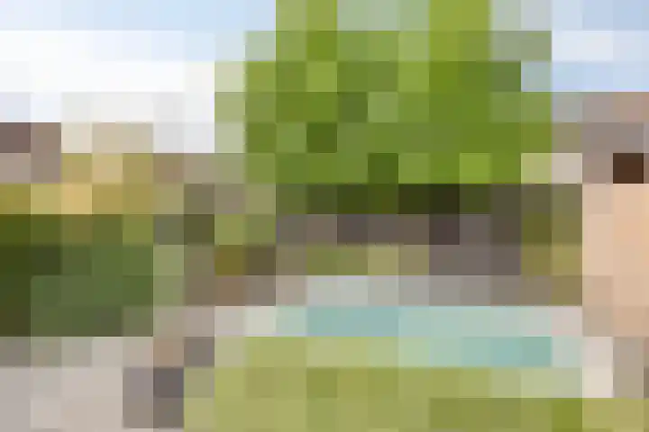 Oude Barneveldseweg 39 Scherpenzeel thumbnail 34