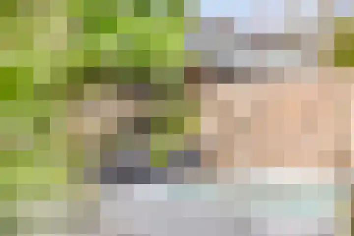 Oude Barneveldseweg 39 Scherpenzeel thumbnail 37