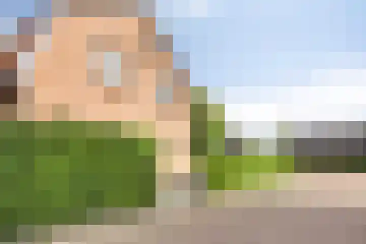 Oude Barneveldseweg 39 Scherpenzeel thumbnail 39
