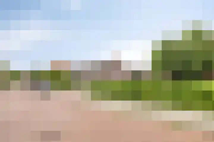 Oude Barneveldseweg 39 Scherpenzeel thumbnail 41