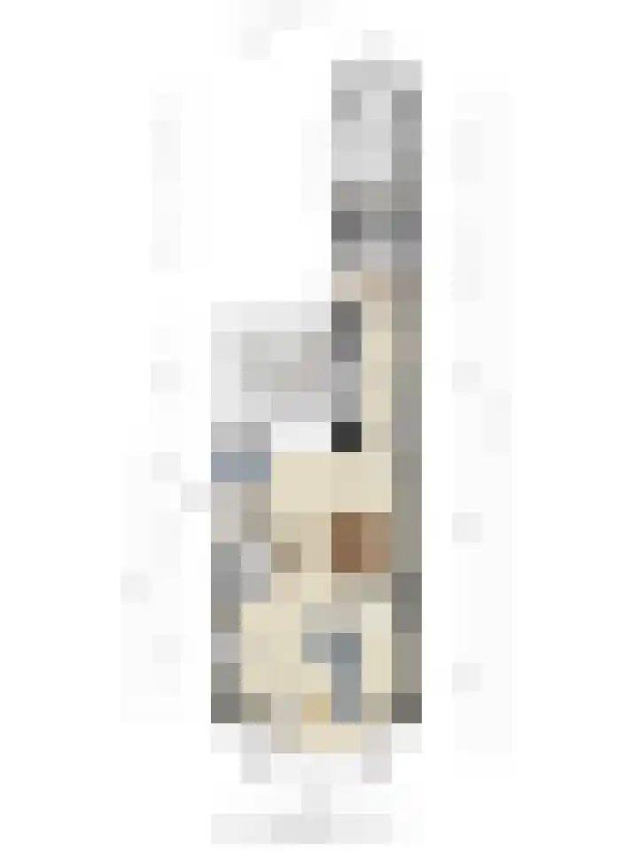 Oude Barneveldseweg 39 Scherpenzeel thumbnail 42