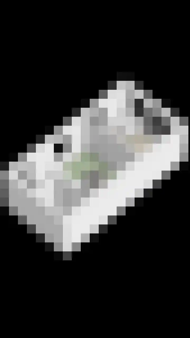 Oude Barneveldseweg 39 Scherpenzeel thumbnail 50