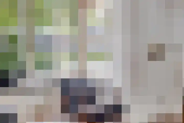 Oude Barneveldseweg 39 Scherpenzeel thumbnail 9