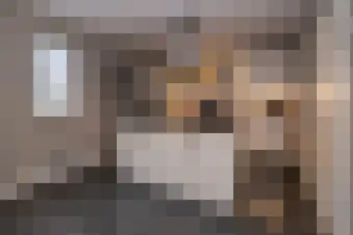 Oude Barneveldseweg 55 Scherpenzeel thumbnail 10