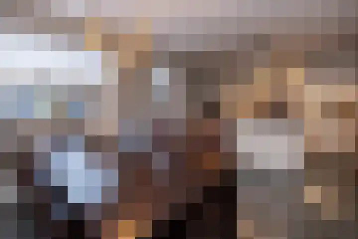 Oude Barneveldseweg 55 Scherpenzeel thumbnail 12