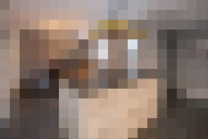 Oude Barneveldseweg 55 Scherpenzeel thumbnail 14