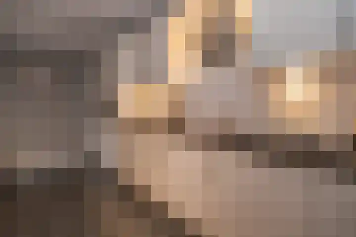 Oude Barneveldseweg 55 Scherpenzeel thumbnail 15