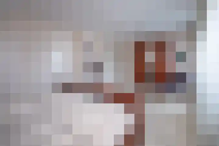 Oude Barneveldseweg 55 Scherpenzeel thumbnail 22