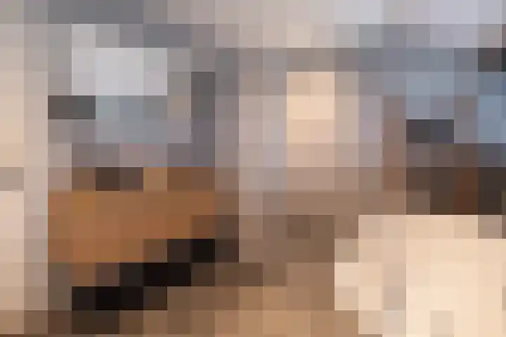 Oude Barneveldseweg 55 Scherpenzeel thumbnail 31