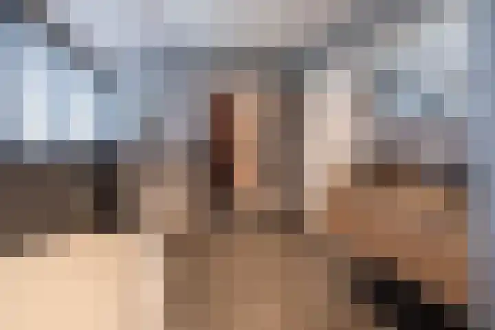 Oude Barneveldseweg 55 Scherpenzeel thumbnail 33