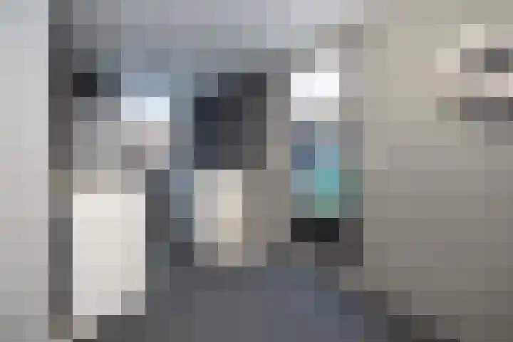 Oude Barneveldseweg 55 Scherpenzeel thumbnail 36