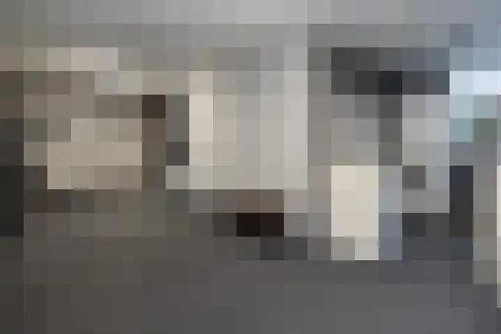 Oude Barneveldseweg 55 Scherpenzeel thumbnail 37