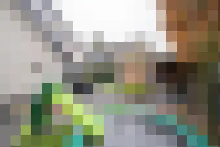 Oude Barneveldseweg 55 Scherpenzeel thumbnail 40
