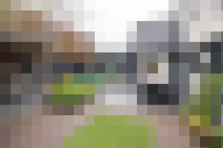 Oude Barneveldseweg 55 Scherpenzeel thumbnail 42