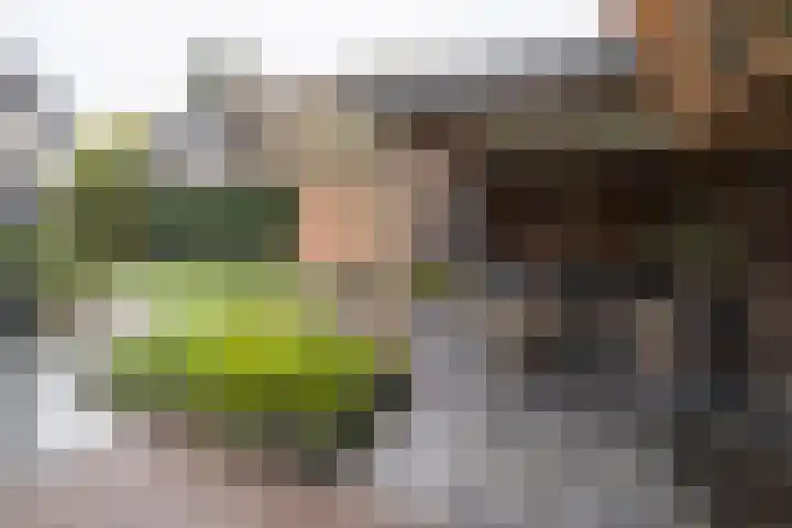 Oude Barneveldseweg 55 Scherpenzeel thumbnail 43