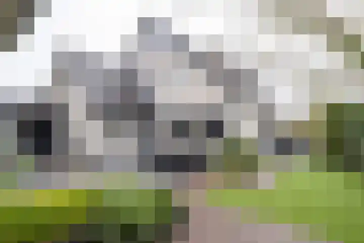Oude Barneveldseweg 55 Scherpenzeel thumbnail 45