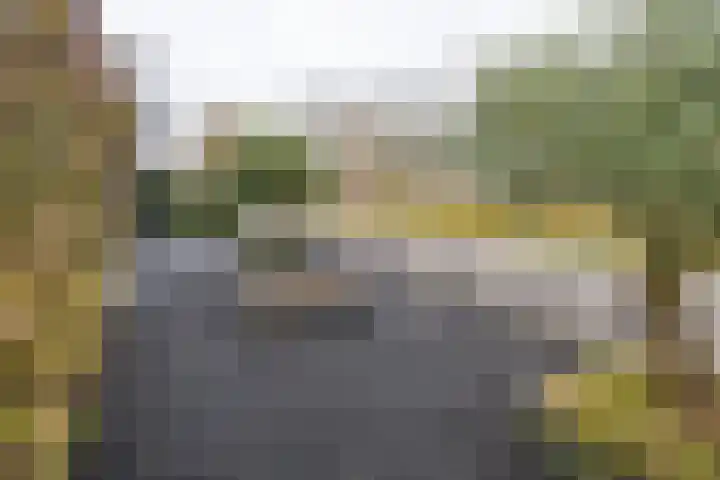 Oude Barneveldseweg 55 Scherpenzeel thumbnail 48