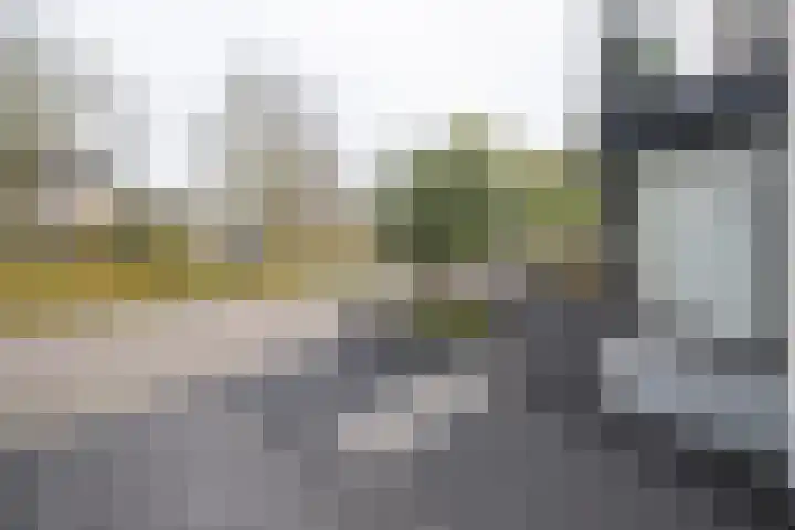 Oude Barneveldseweg 55 Scherpenzeel thumbnail 50