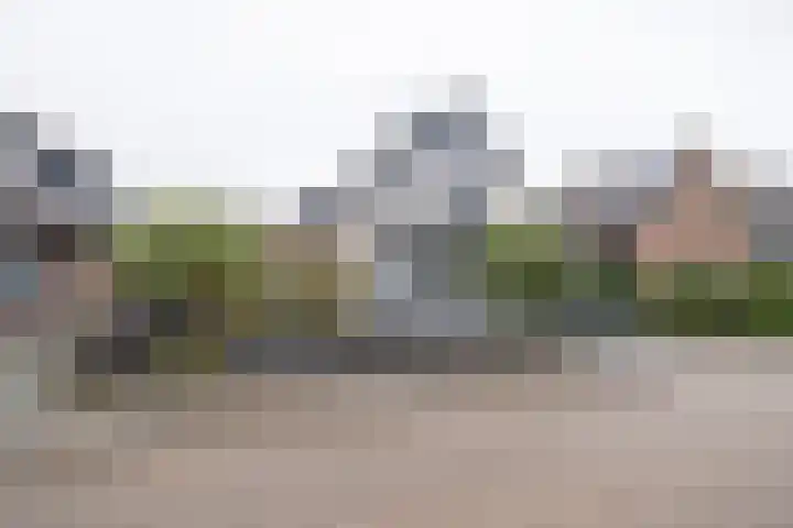 Oude Barneveldseweg 55 Scherpenzeel thumbnail 52