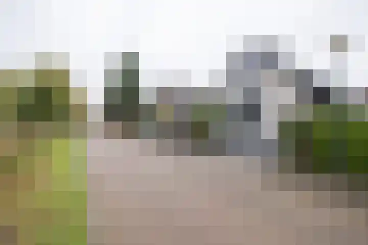 Oude Barneveldseweg 55 Scherpenzeel thumbnail 53