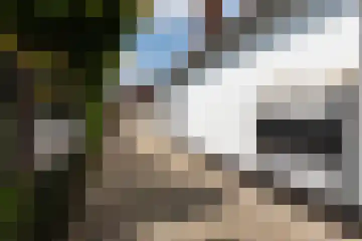 Oude Beekbergerweg 122 Apeldoorn thumbnail 25