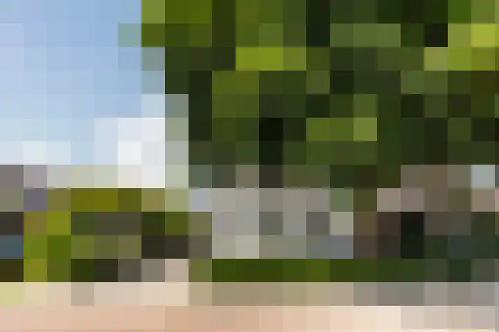 Oude Beekbergerweg 122 Apeldoorn thumbnail 26