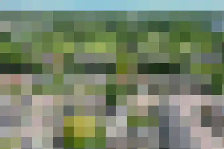 Oude Beekbergerweg 122 Apeldoorn thumbnail 33