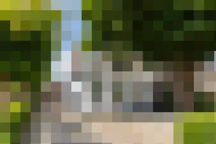 Oude Beekbergerweg 122 Apeldoorn thumbnail 44