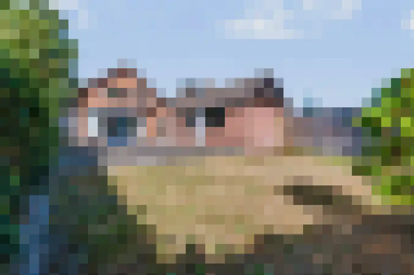 Oude Beekbergerweg 123 Apeldoorn thumbnail 24