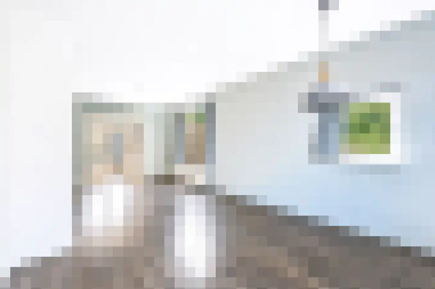 Oude Beekbergerweg 123 Apeldoorn thumbnail 7