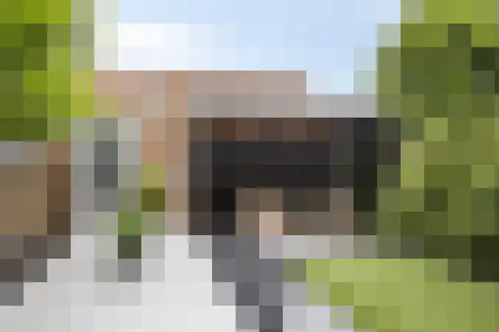 Oude Beekbergerweg 130 Apeldoorn thumbnail 11