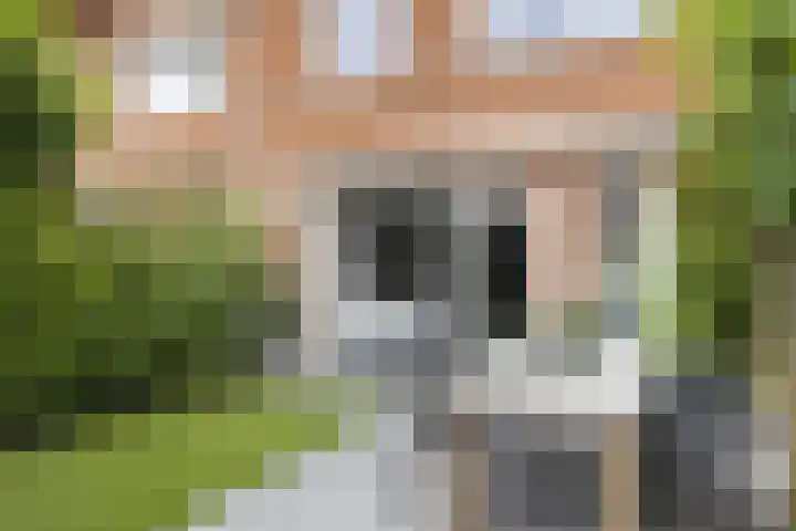Oude Beekbergerweg 130 Apeldoorn thumbnail 14