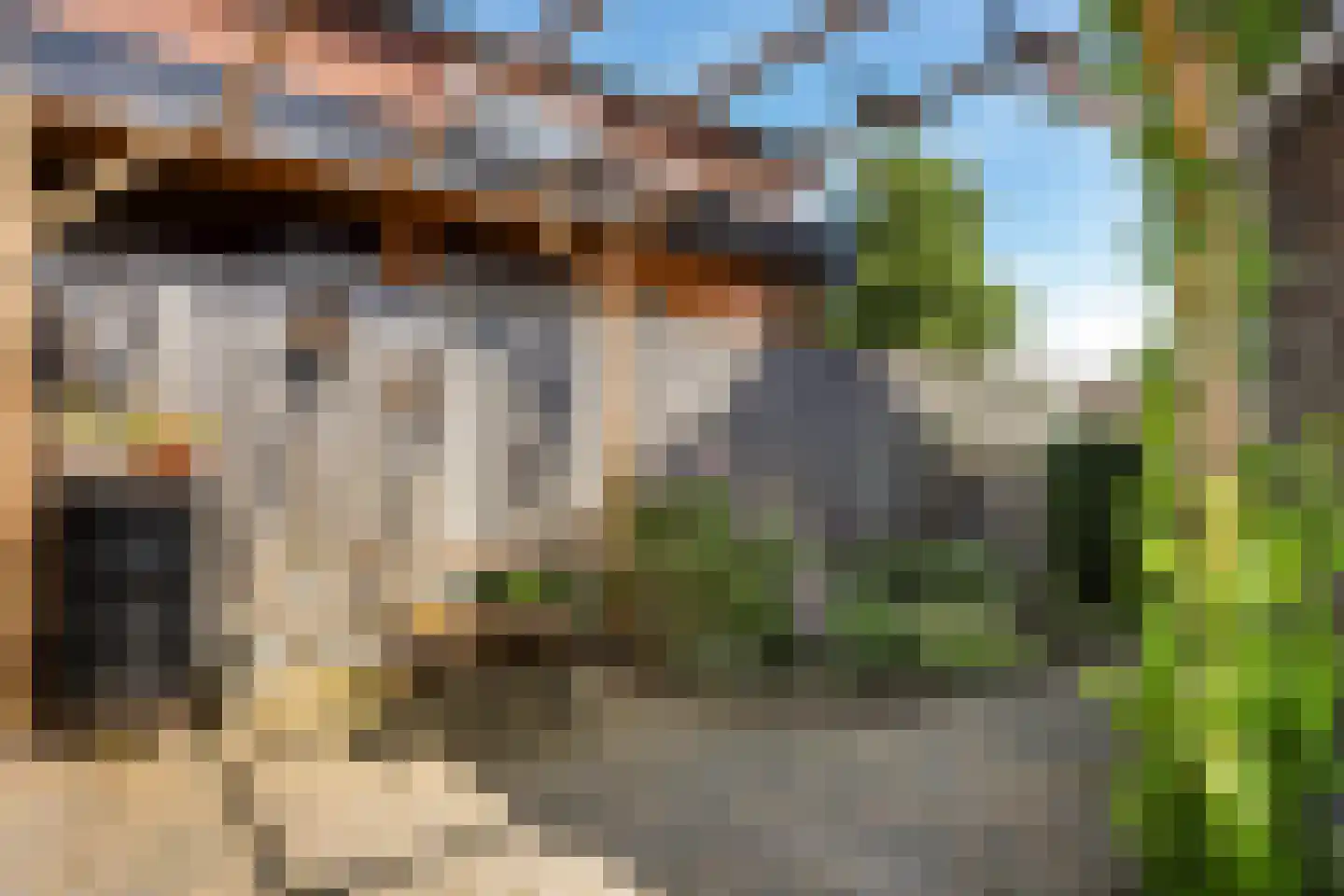 Oude Beekbergerweg 190 Apeldoorn thumbnail 28