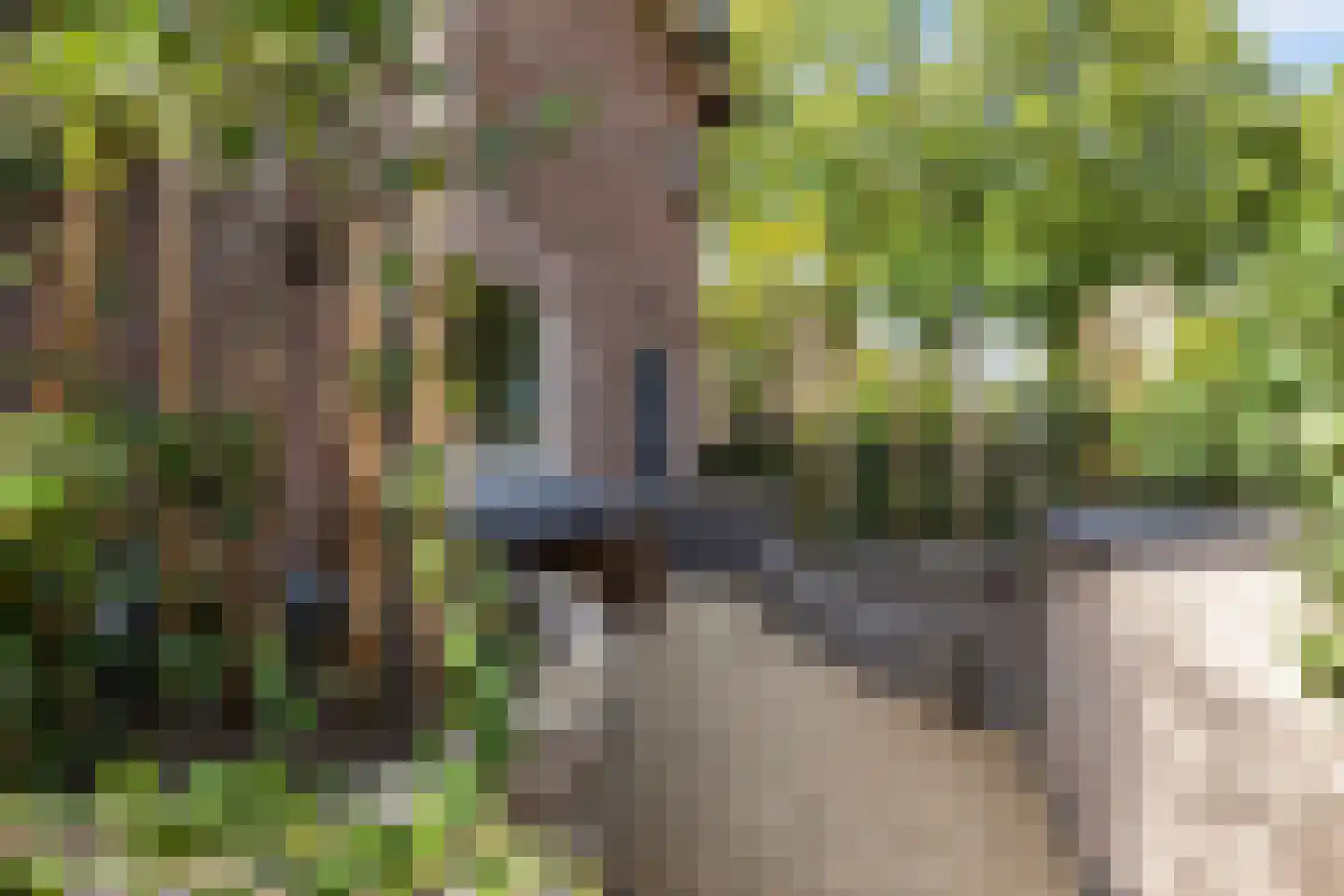 Oude Beekbergerweg 272 Apeldoorn thumbnail 18