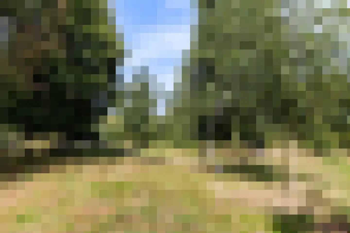 Oude Beekbergerweg 272 Apeldoorn thumbnail 33