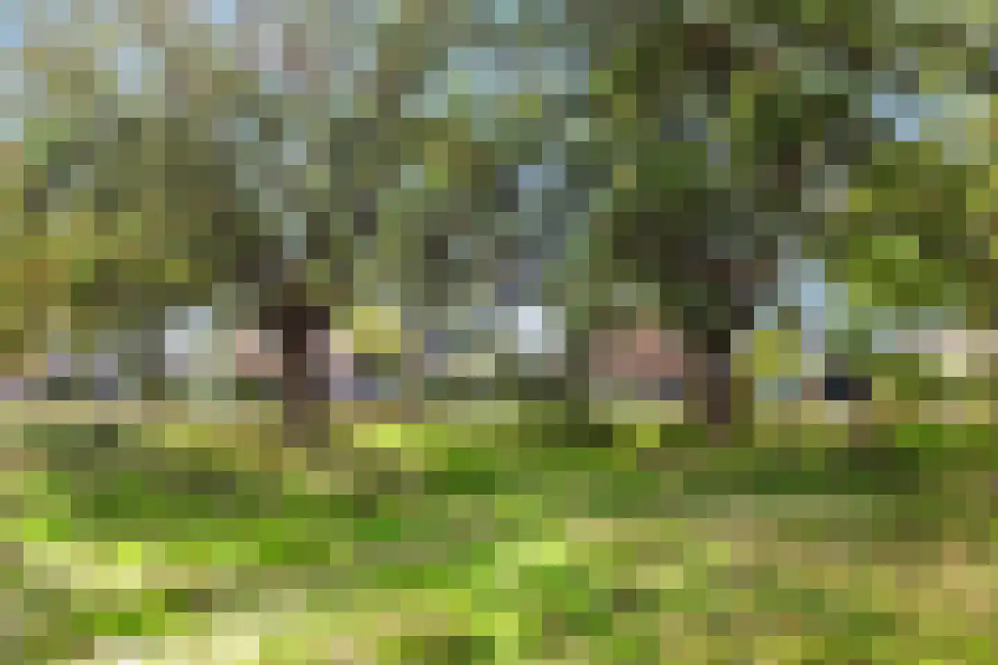 Oude Beekbergerweg 272 Apeldoorn thumbnail 34