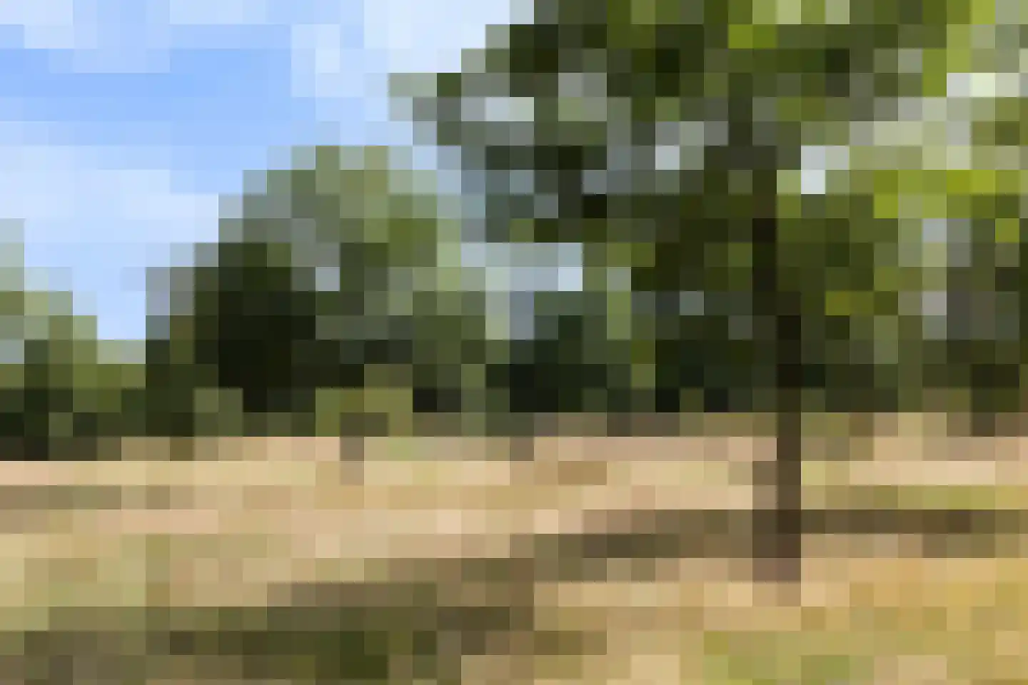 Oude Beekbergerweg 272 Apeldoorn thumbnail 35