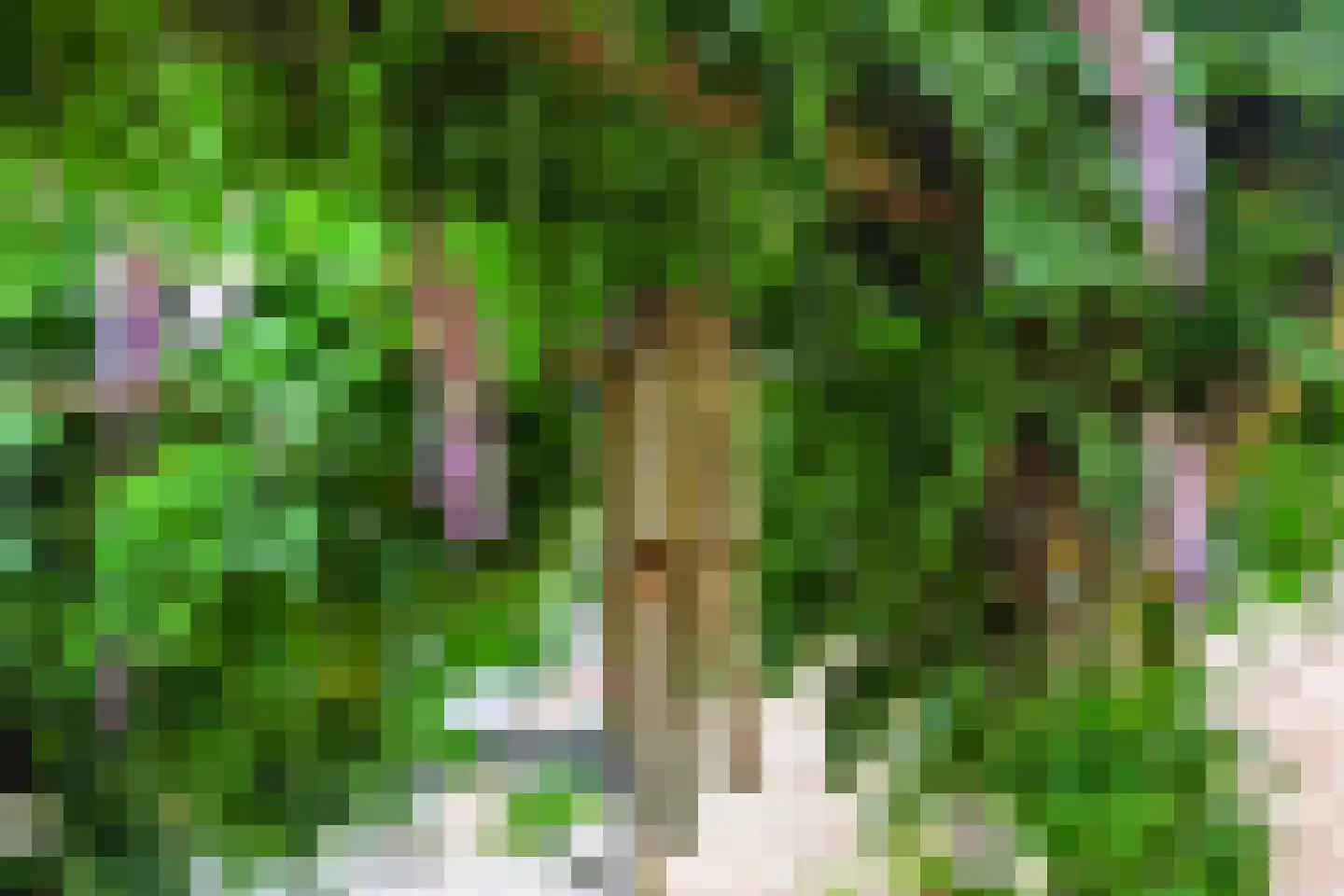 Oude Beekbergerweg 326 Apeldoorn thumbnail 38