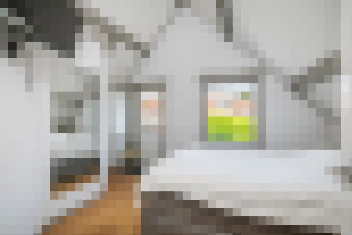 Oude Beekbergerweg 4 Apeldoorn thumbnail 27