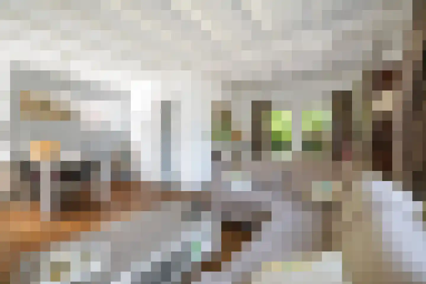 Oude Beekbergerweg 4 Apeldoorn thumbnail 8