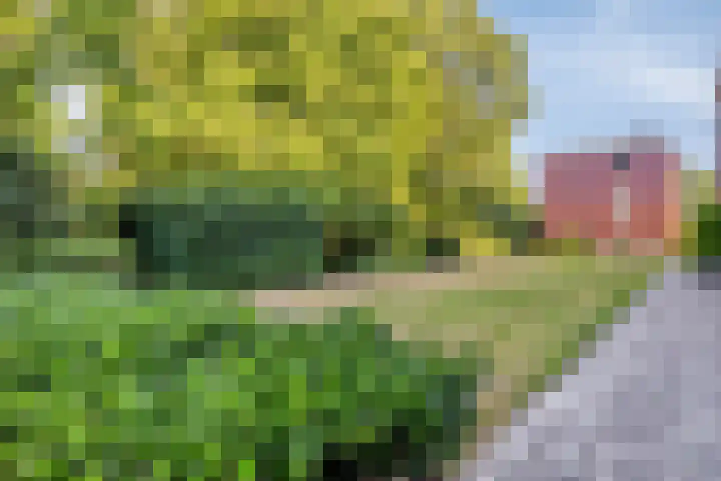 Oude Beekbergerweg 93 B Apeldoorn thumbnail 27