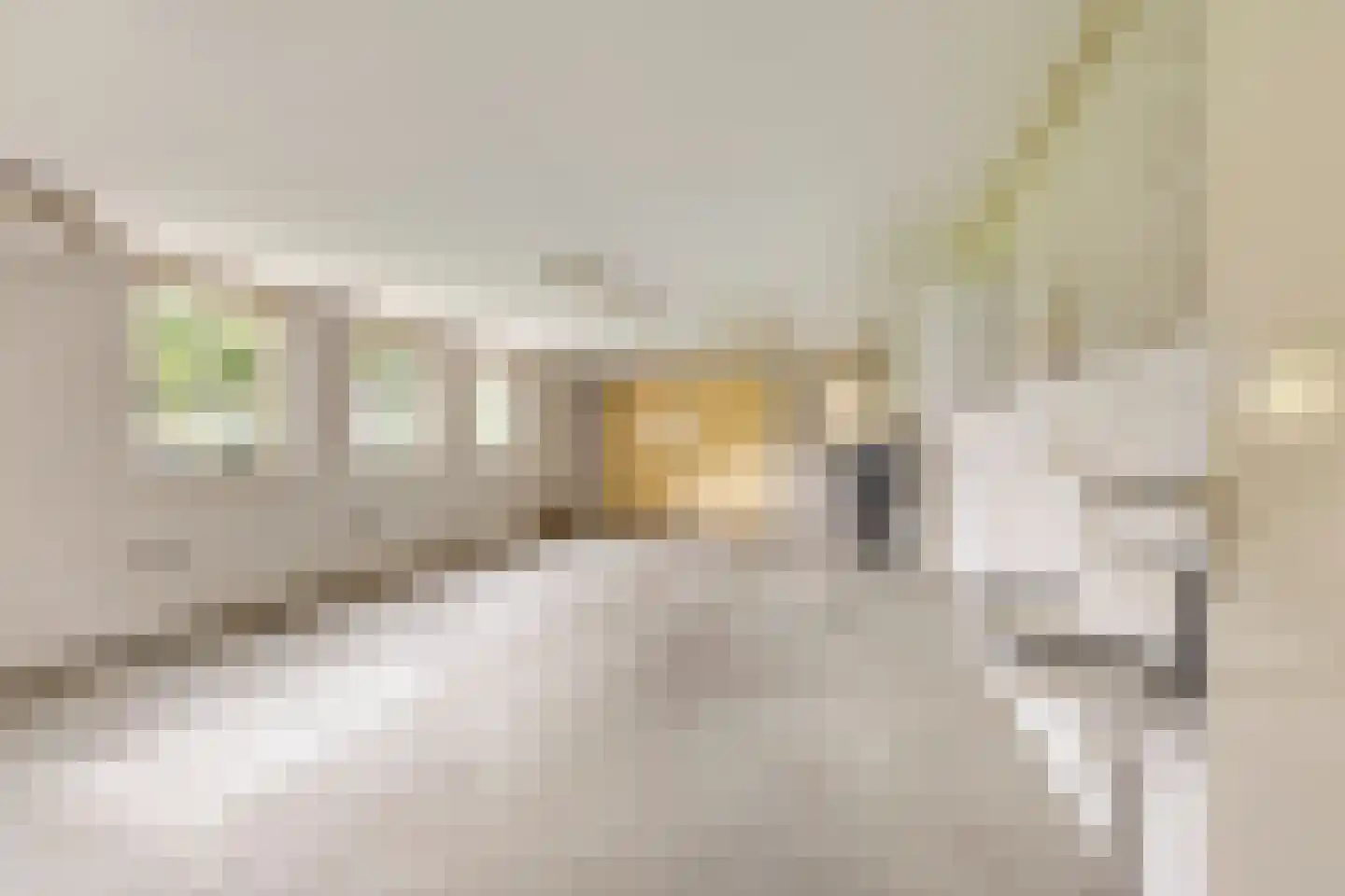 Oude Beekseweg 58 A Didam thumbnail 11