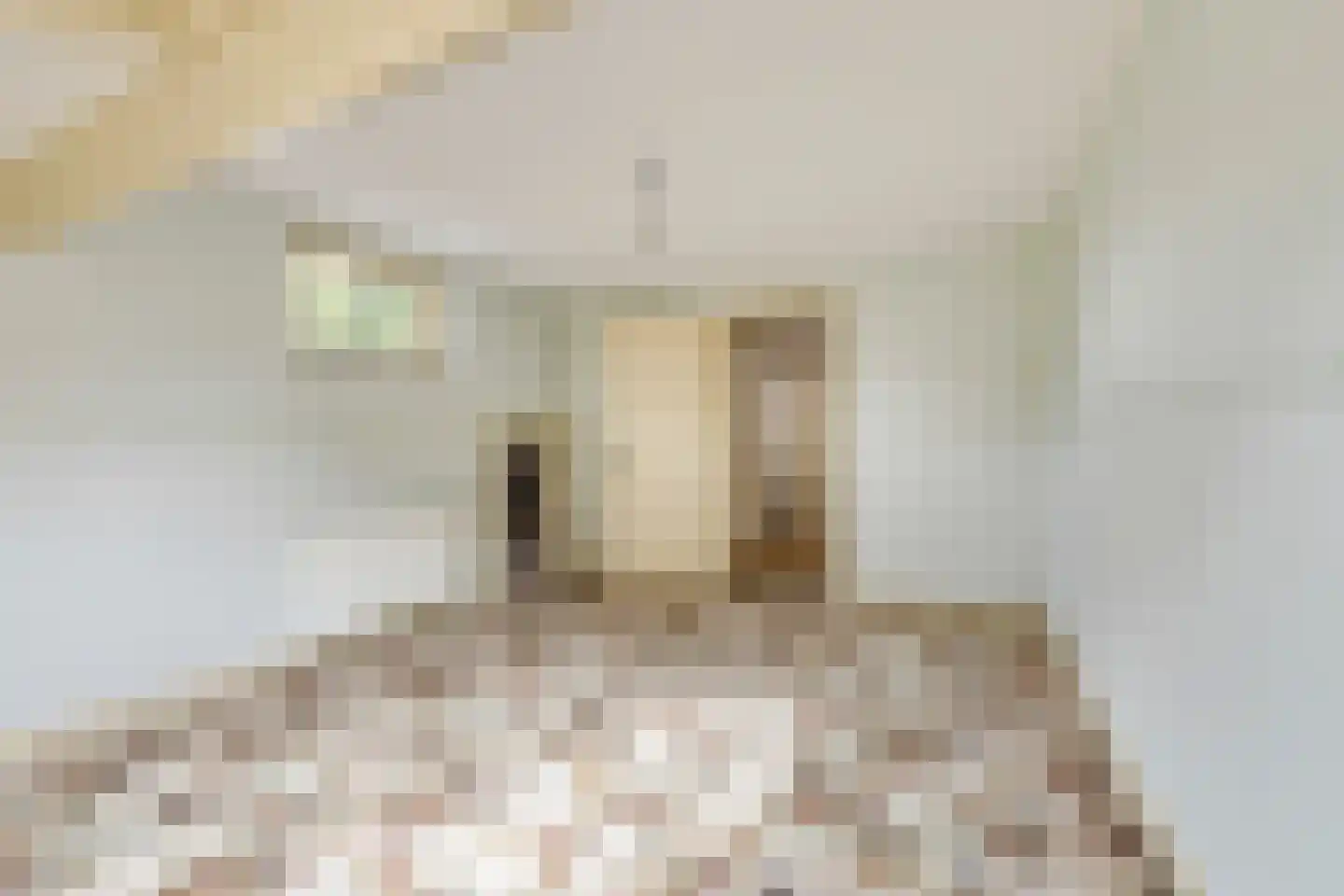 Oude Beekseweg 58 A Didam thumbnail 21