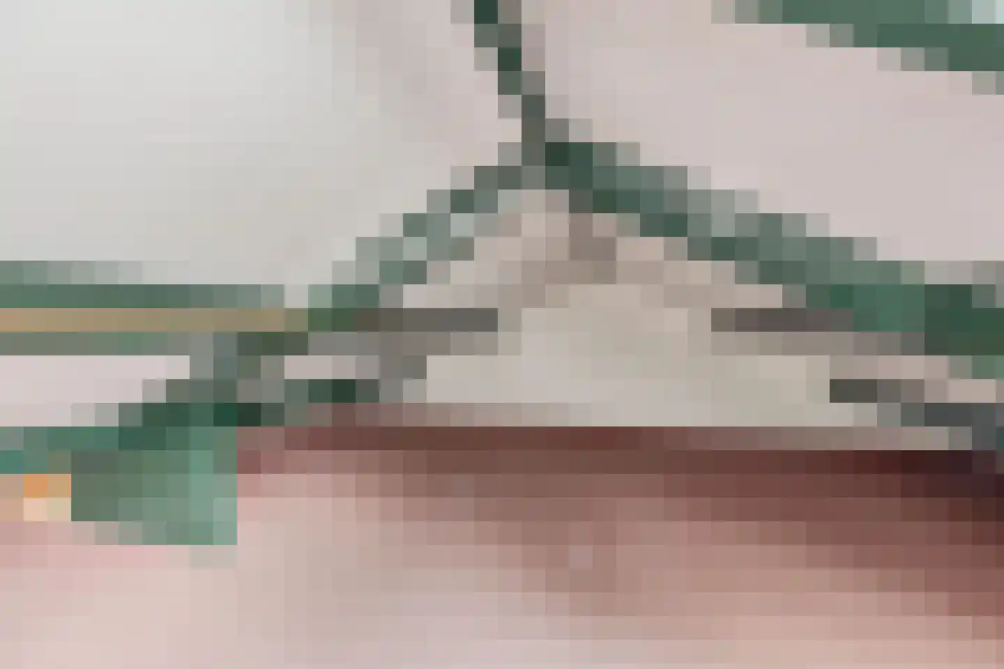 Oude Beekseweg 58 A Didam thumbnail 26