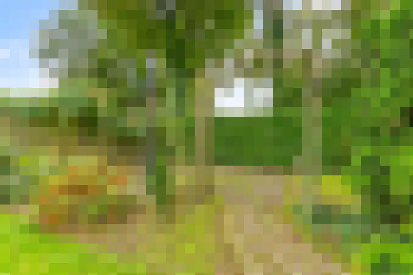 Oude Beekseweg 58 A Didam thumbnail 31