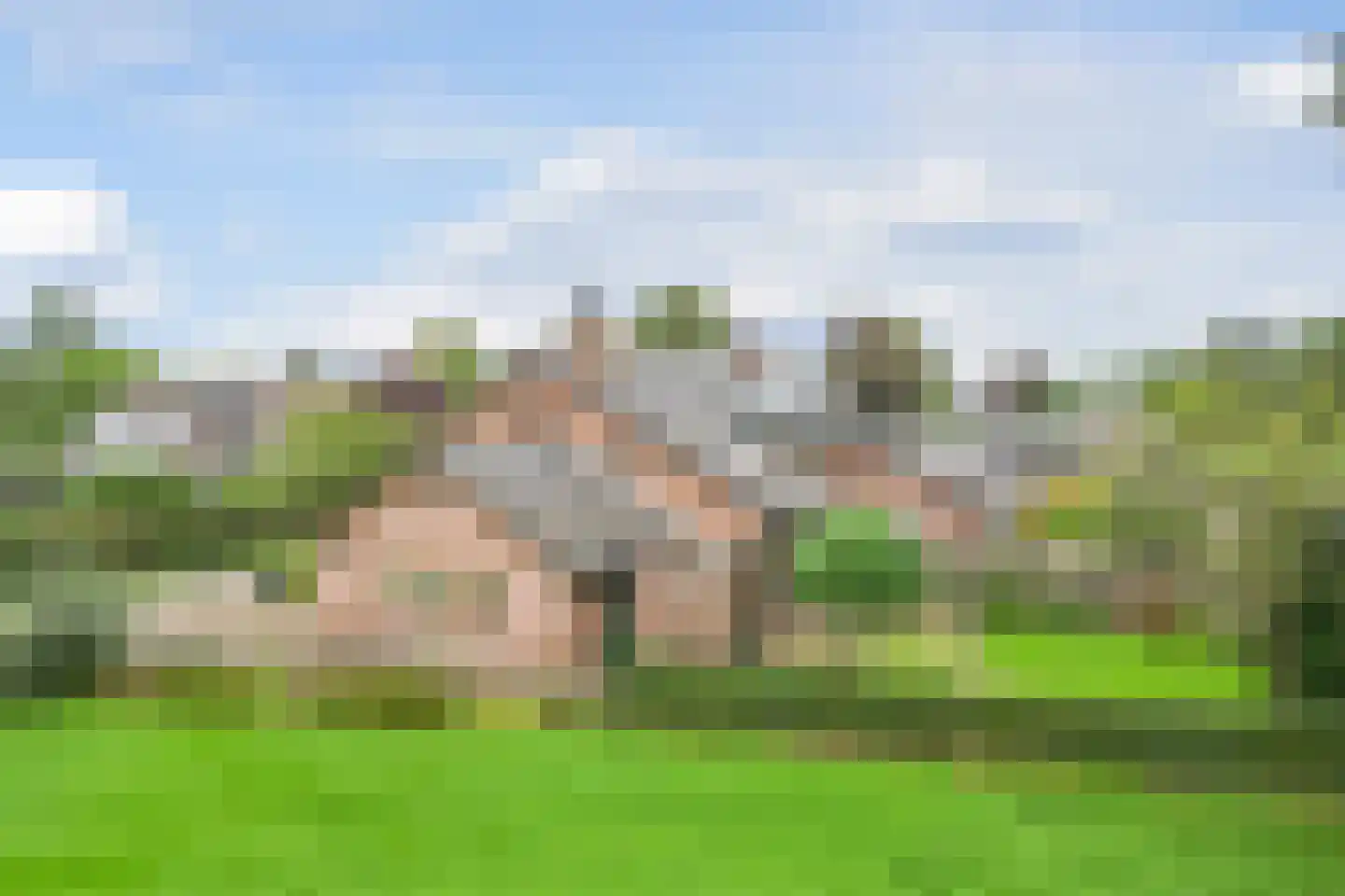 Oude Beekseweg 58 A Didam thumbnail 33